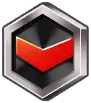 Exchange Medal